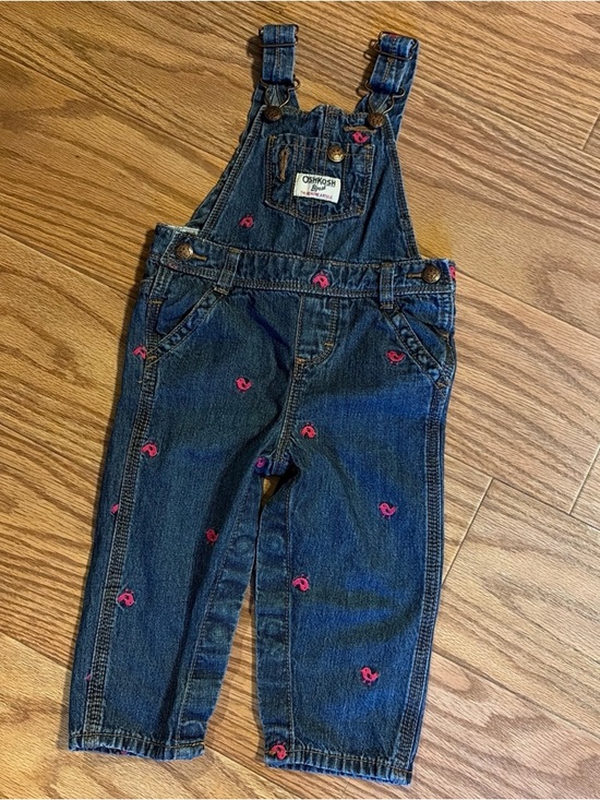 OshKosh B'gosh Other - Oshkosh B’goshVestbak Denim Overalls Pink Embroidered Birds Size 12 Months